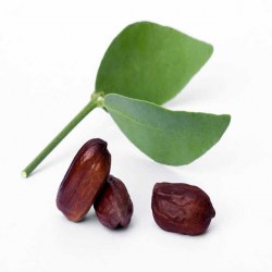 Mandorla Linie Jojoba für empfindliche Haut