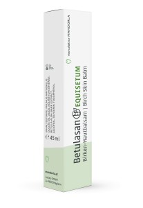 BETULA EQUISETUM